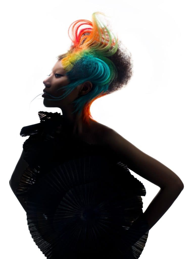 Chromatic Hair Sculpture · Elvin Soh 精选发艺作品