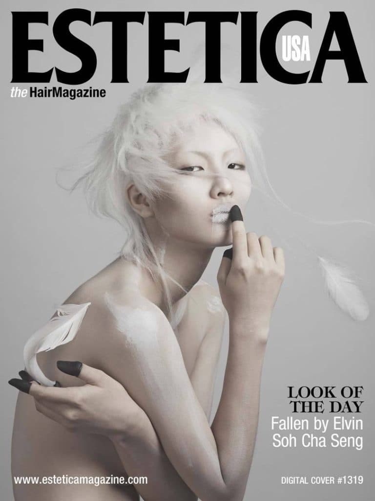 Fallen · Editorial Cover · Elvin Soh 精选发艺作品