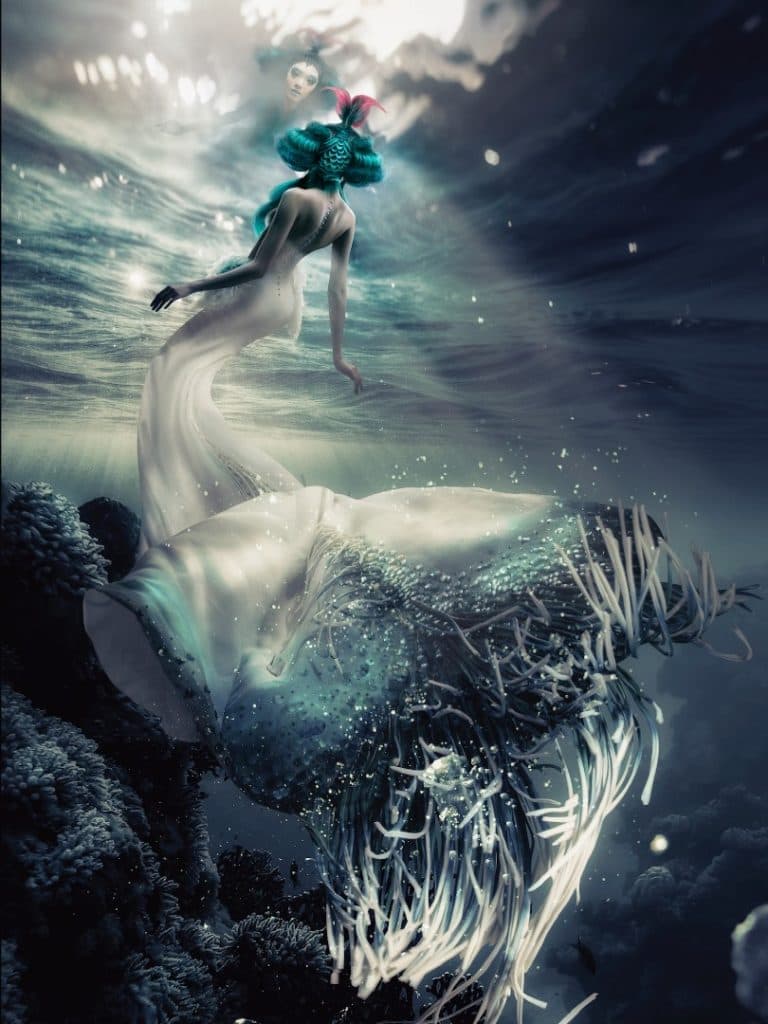 Mermaid · Avant-Garde Vision · Elvin Soh 精选发艺作品